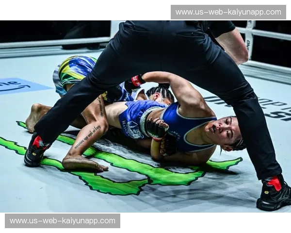 综合格斗集锦:擂台瞬间的极致叙事 综合格斗集锦:擂台瞬间的极致叙事